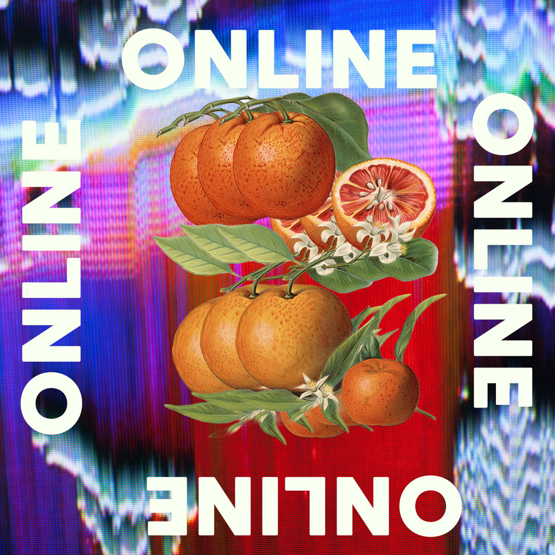 Sensory Universe / Archivo Viviente — One Tree, Many Scents ONLINE