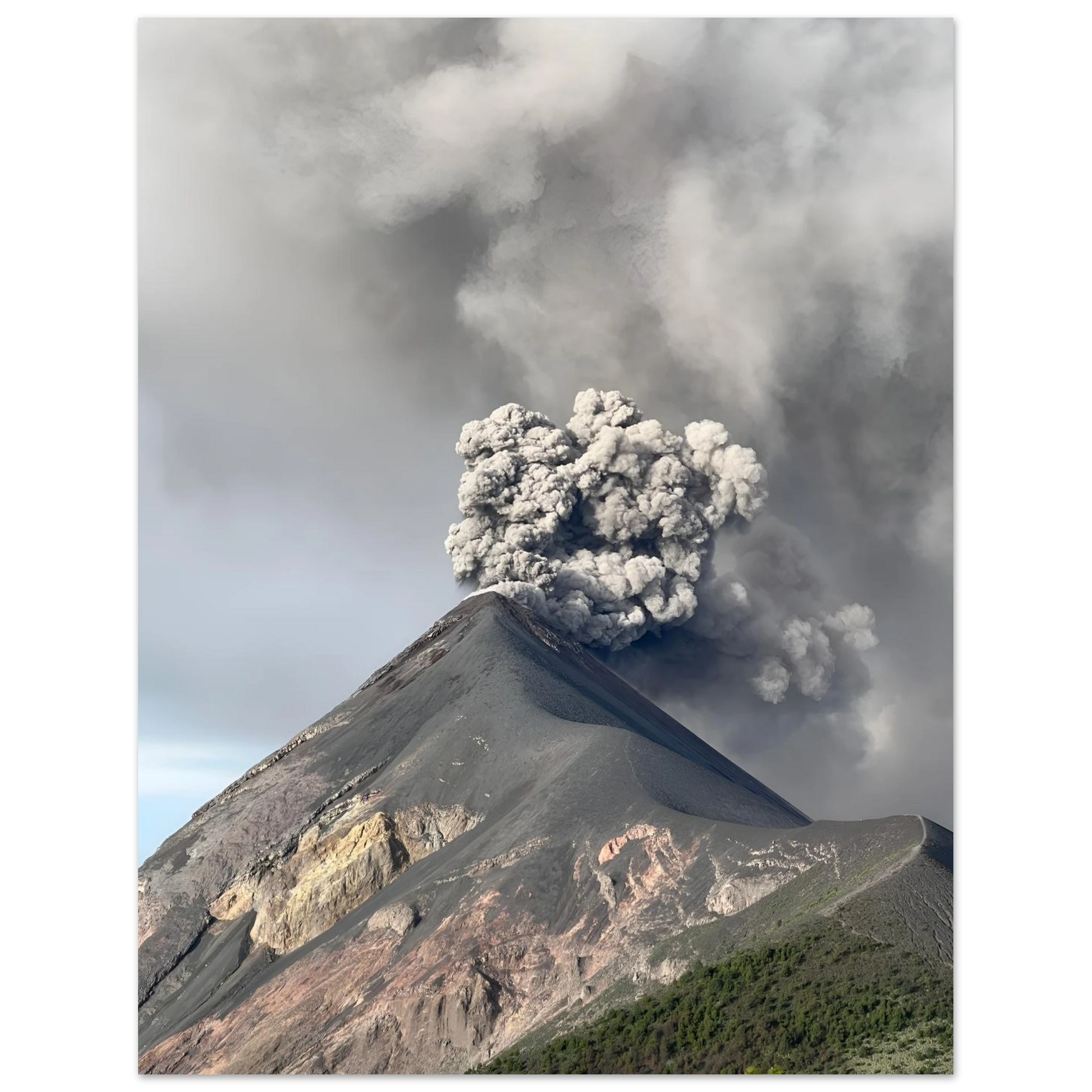 10c2438b-607e-4231-a6cf-ae755be27554