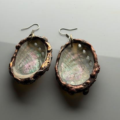 Abalone