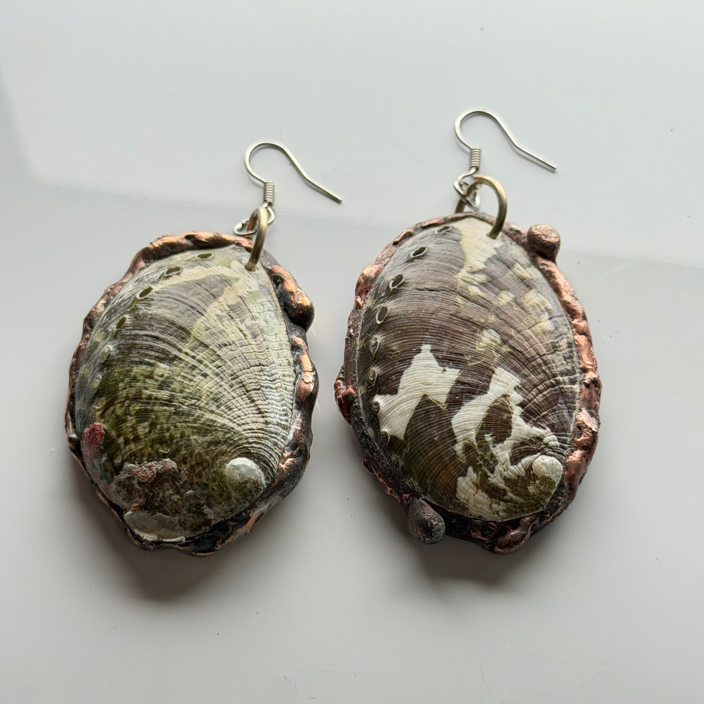 Abalone