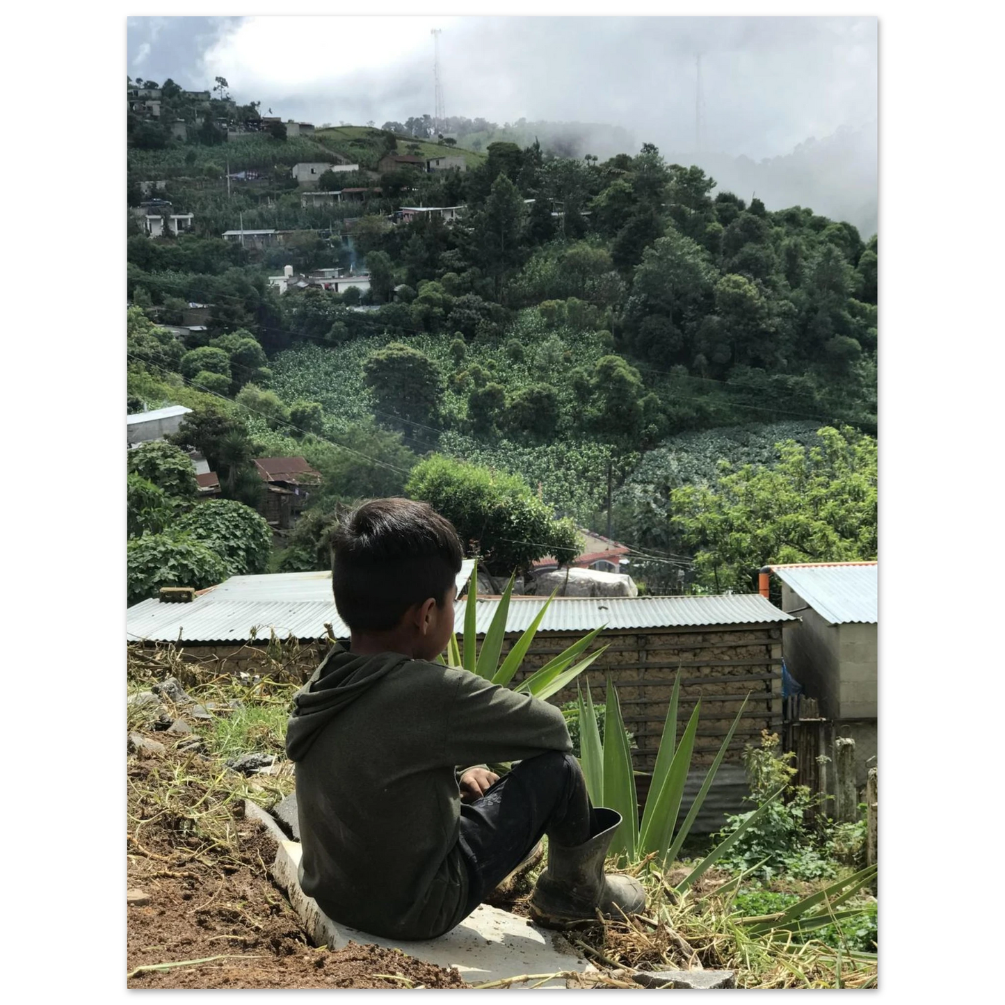 fda232ff-146b-40cd-befe-fe7f529825ad