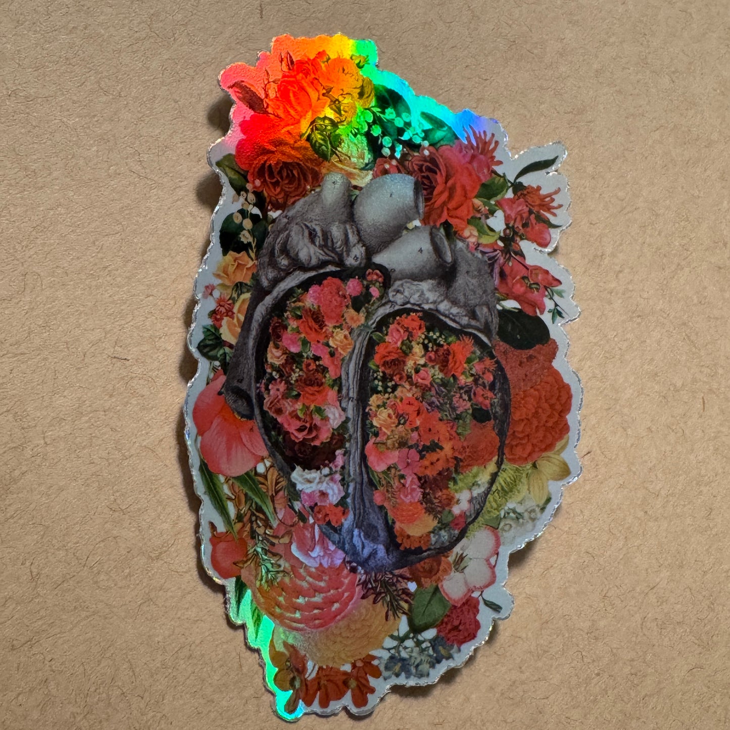 Anatomical Heart Sticker