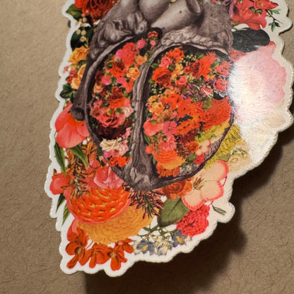 Anatomical Heart Sticker