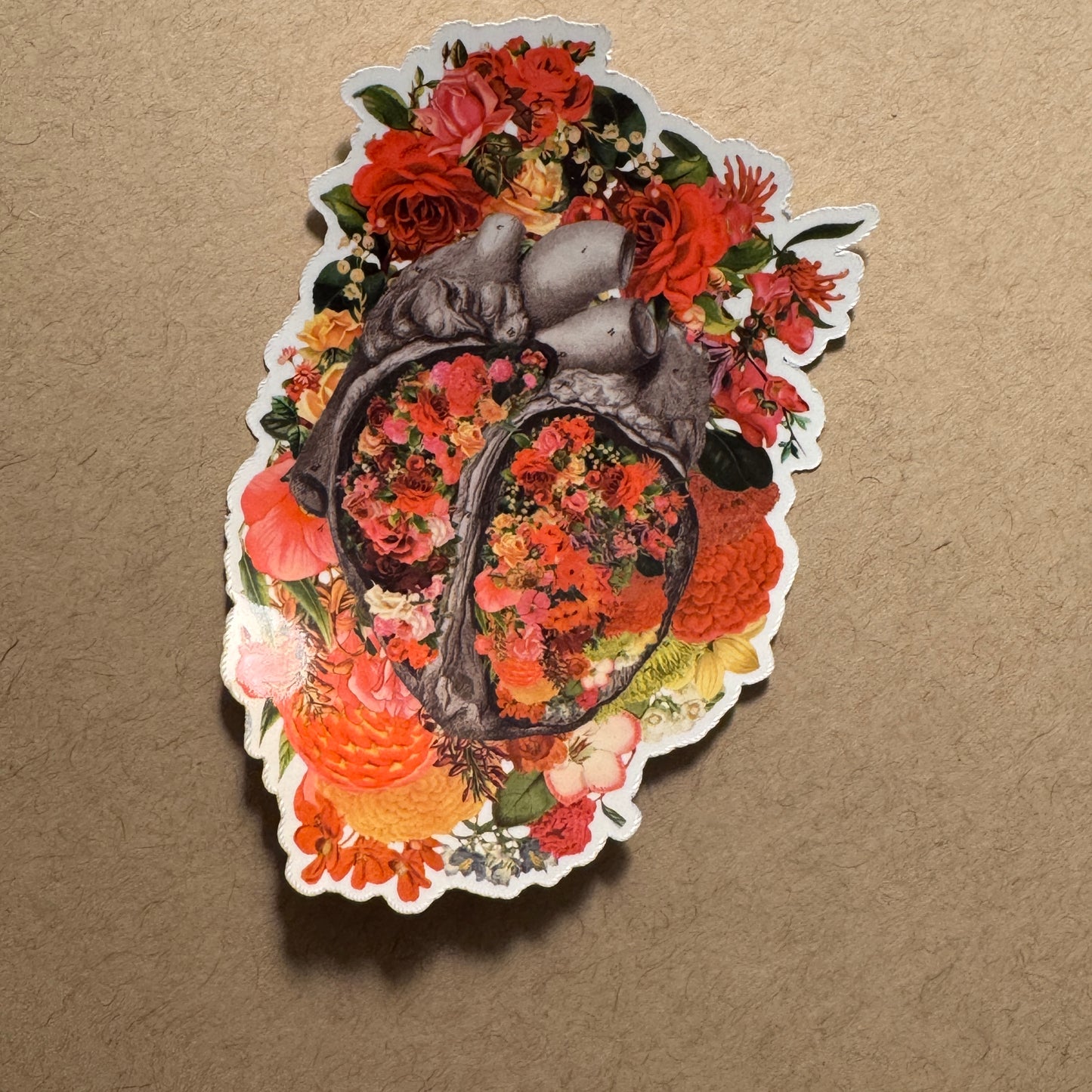 Anatomical Heart Sticker