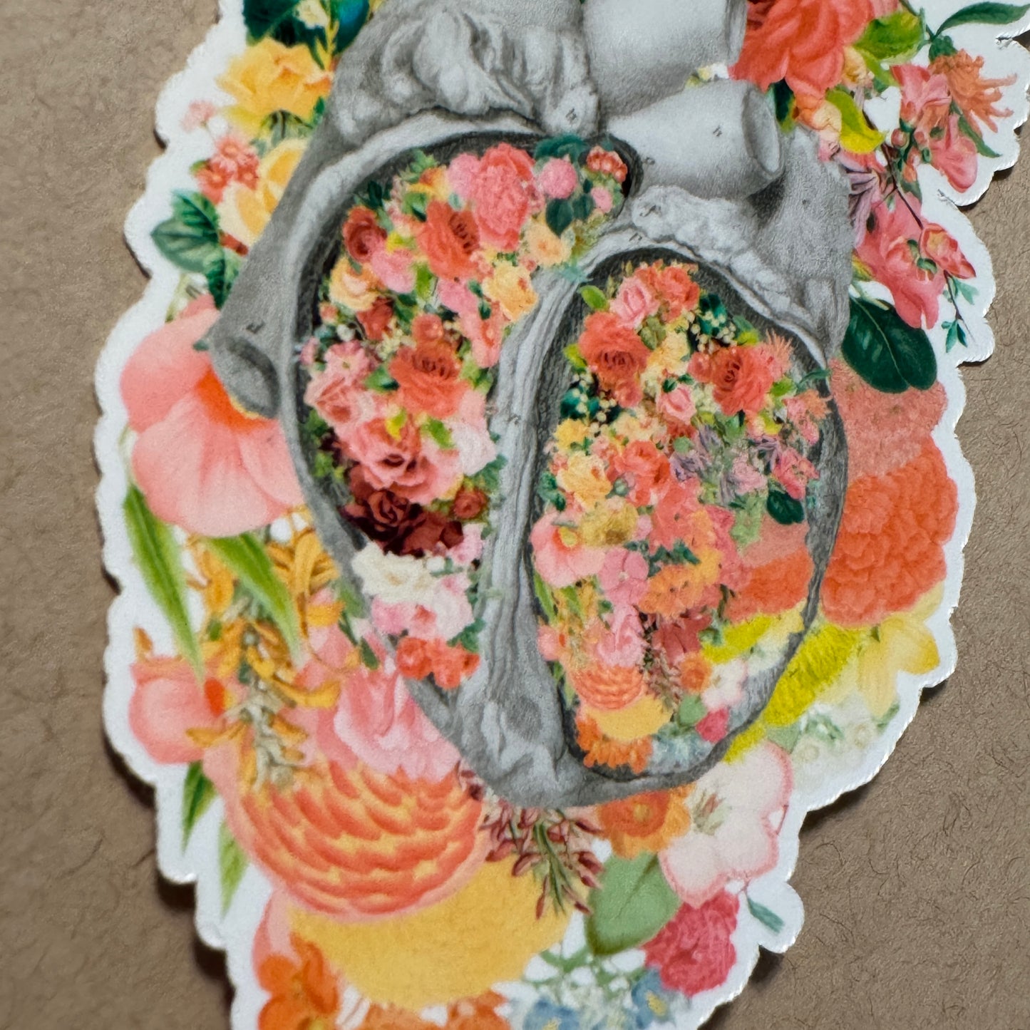 Anatomical Heart Sticker