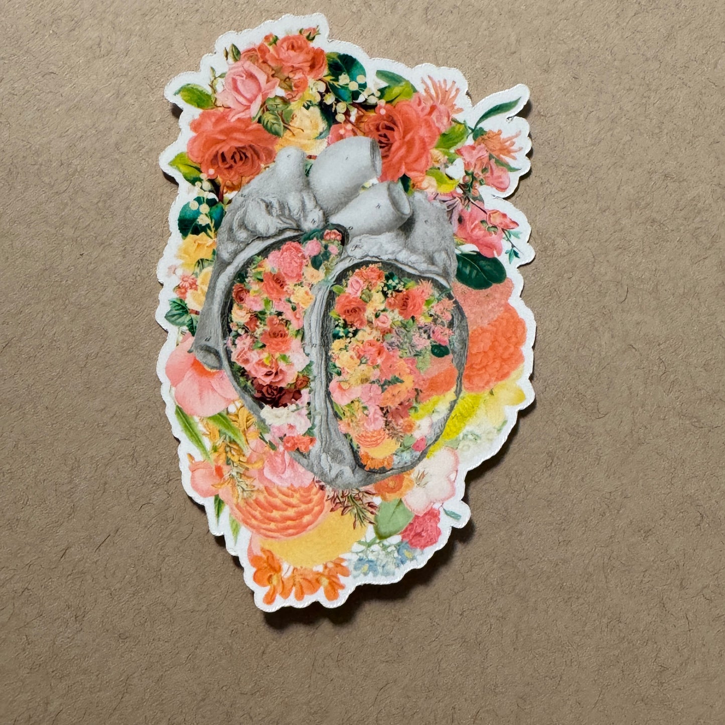 Anatomical Heart Sticker