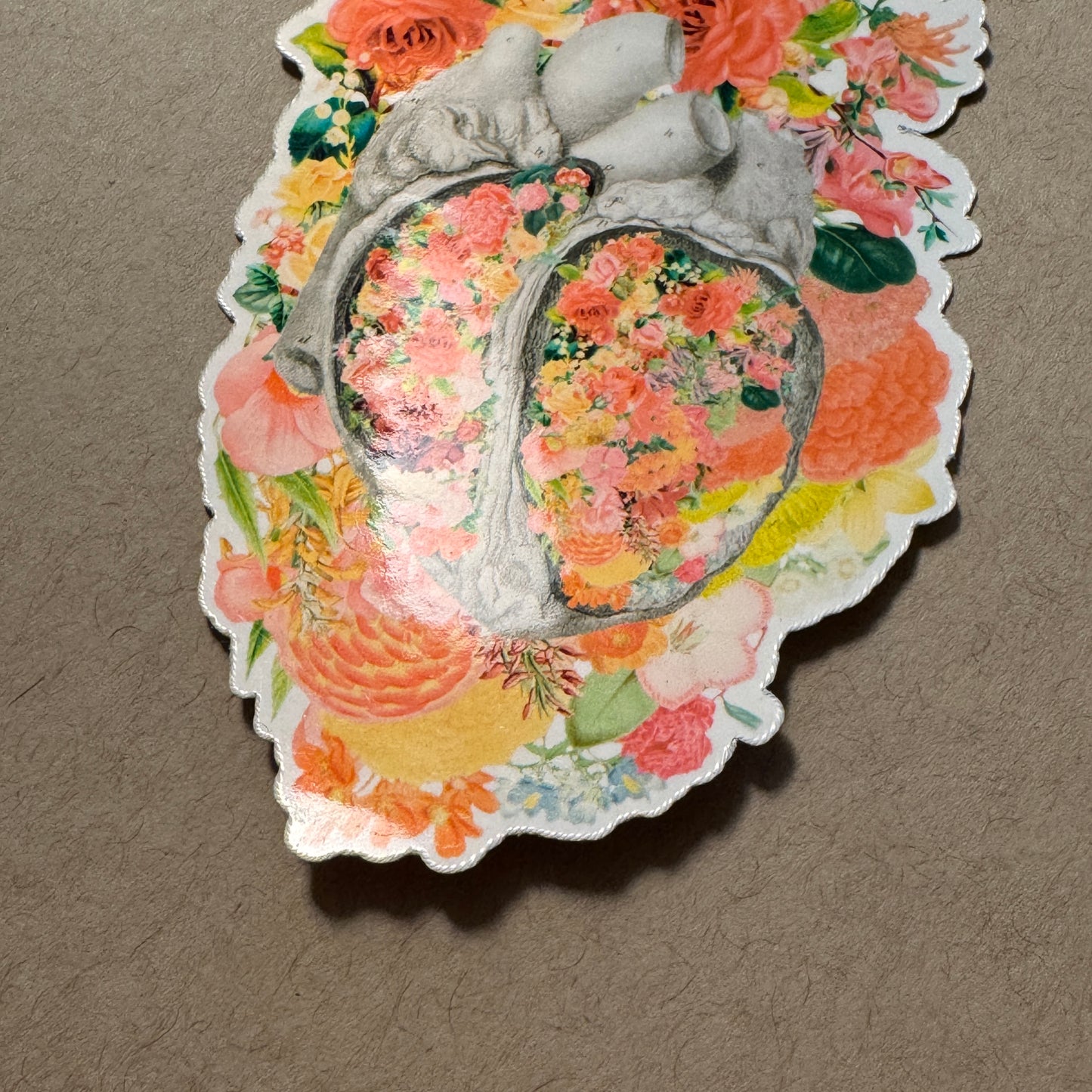 Anatomical Heart Sticker