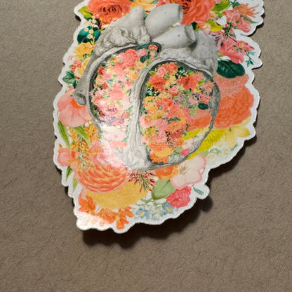 Anatomical Heart Sticker